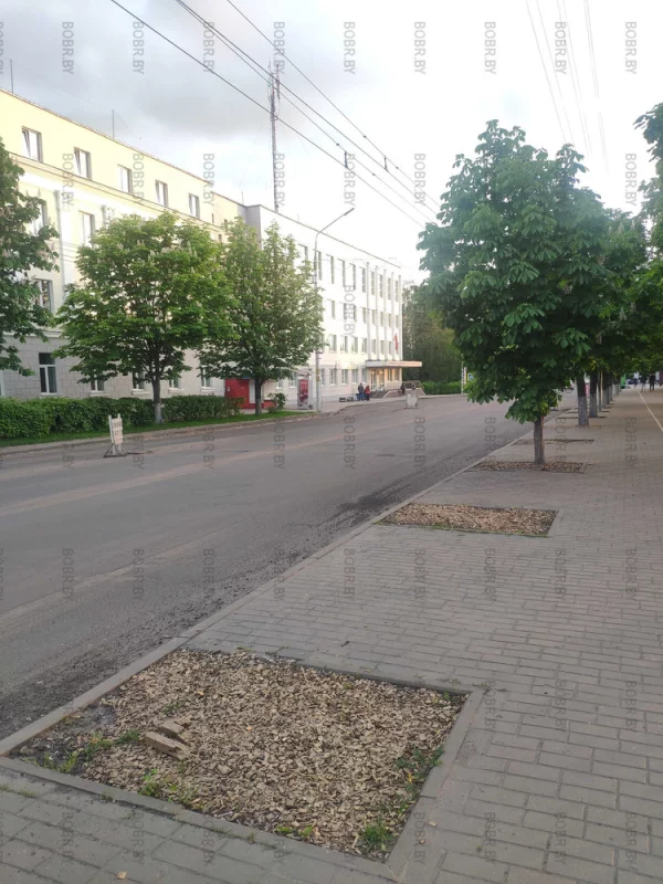 Неужели зеленхоз не найдёт сил, посадить саженцы деревьев на этих пустых местах?