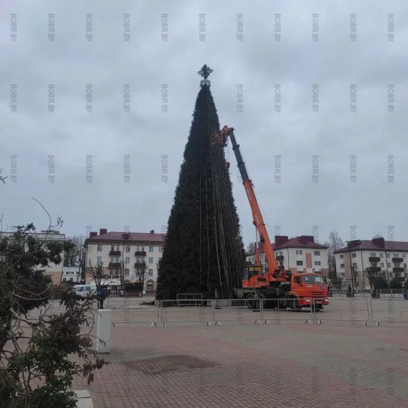 Демонтаж новогодней ели на площади в Бобруйске