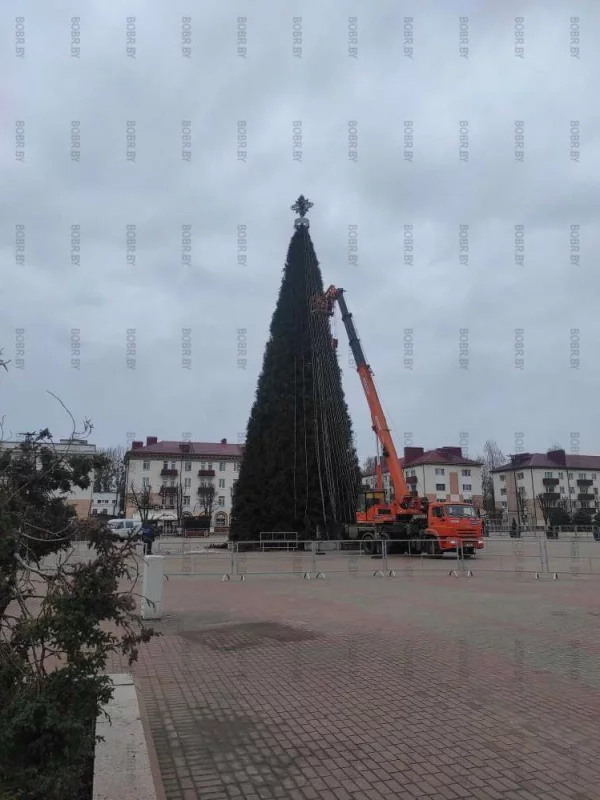 Демонтаж новогодней ели на площади в Бобруйске
