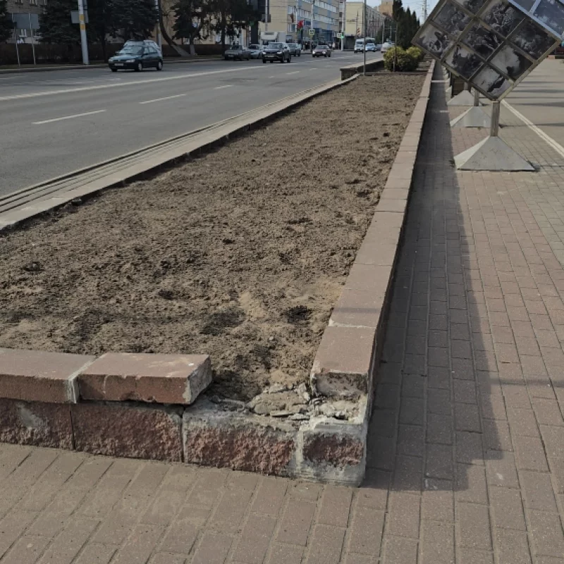 Какая красивая клумба!