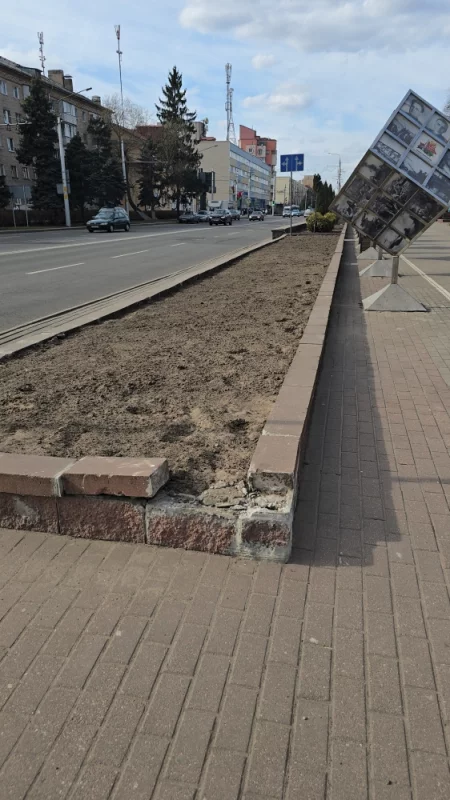 Какая красивая клумба!