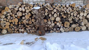 Дрова не колотые, обрезки, горбыль