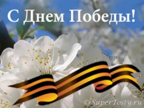 Поздравляем ветеранов с Днем Победы!