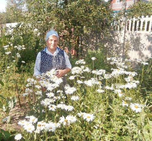 Лучшее ветеранское подворье
