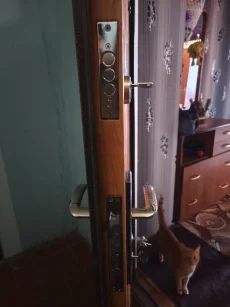 Дверь входная