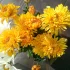 Букет из ромашек и хризантем