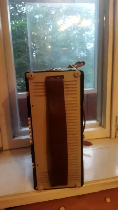 Боян Молодечно