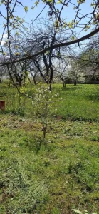 Дом с земельным участком