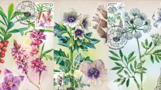 Бобруйская типография напечатала новую серию почтовых марок «Ядовитые растения»