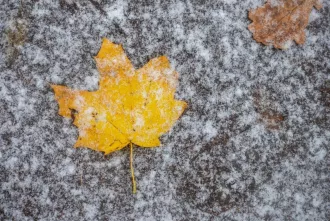 Погода в выходные: мокрый снег, туман, слабый гололед и от -9 °С до +5 °С