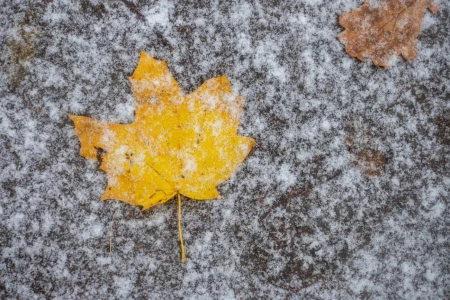 Погода в выходные: мокрый снег, туман, слабый гололед и от -9 °С до +5 °С