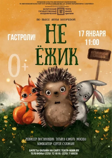 Музыкальный спектакль «Не Ёжик»