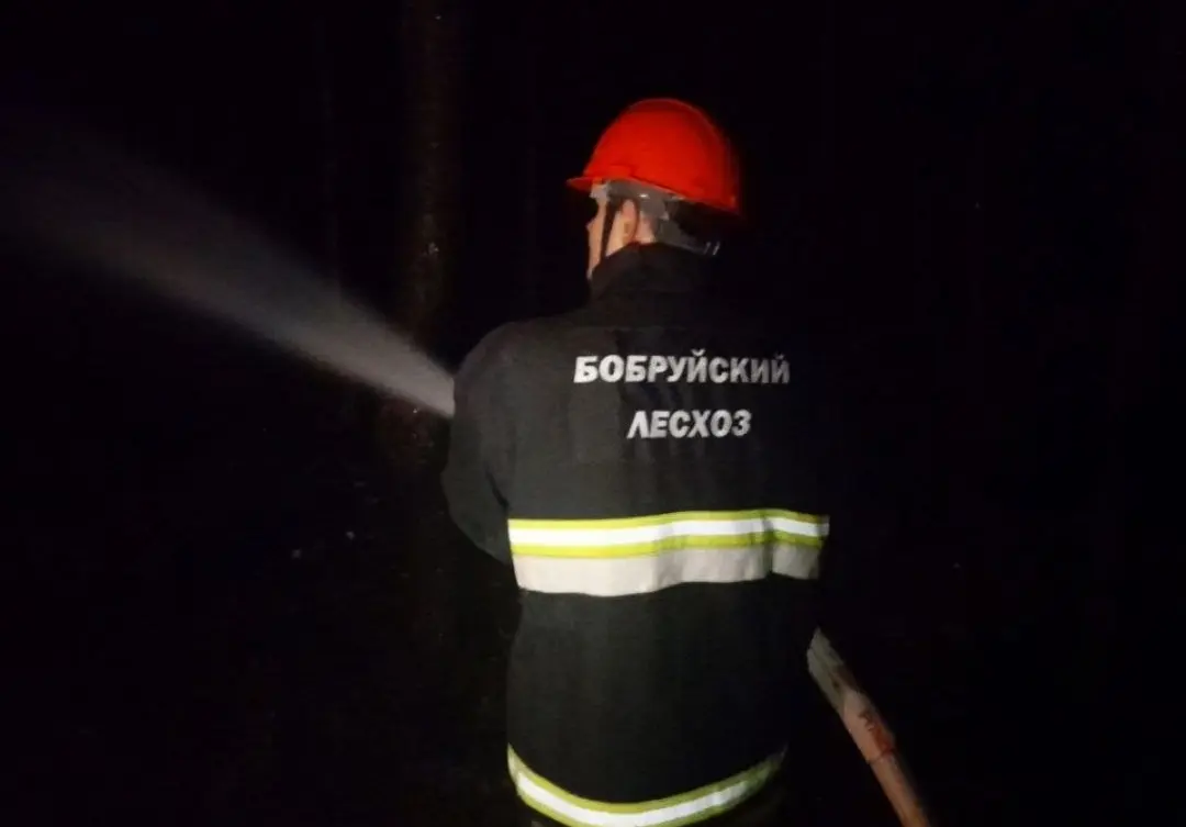 Оперативно потушили пожар в лесу под Бобруйском
