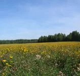 Продажа земельных участков