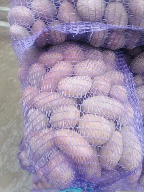 Домашний картофель. АКЦИЯ