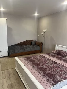 Квартира в центре сутки и короткий срок