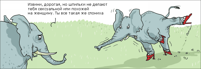 Семейные анекдоты