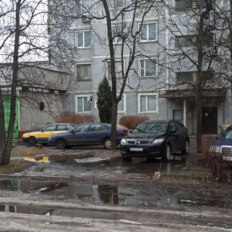 Красивый двор на зависть 