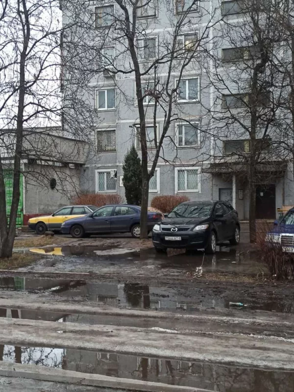 Красивый двор на зависть 