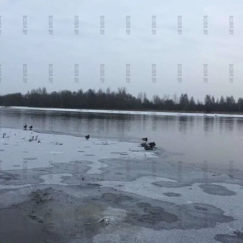 Река Березина
