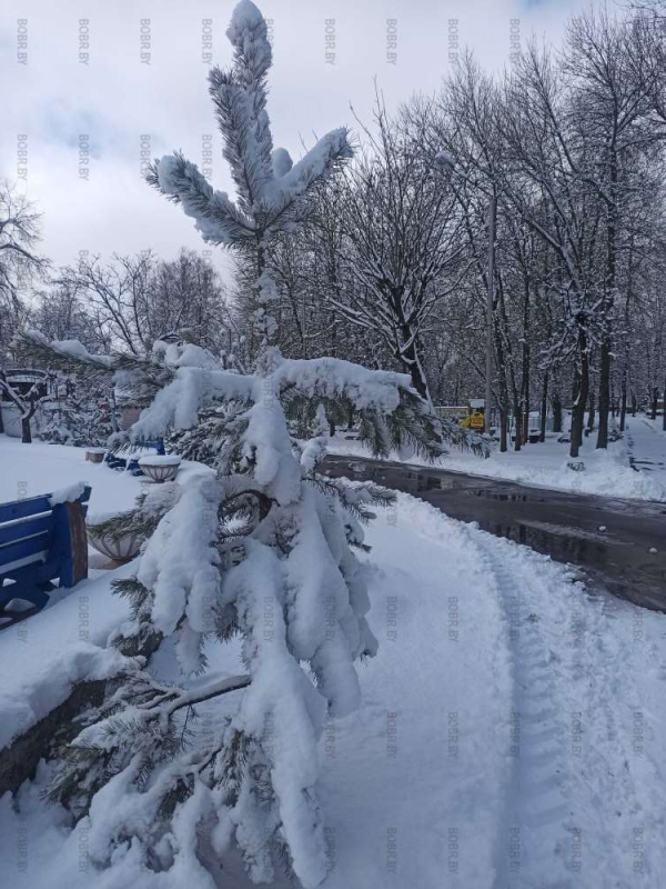 Весна