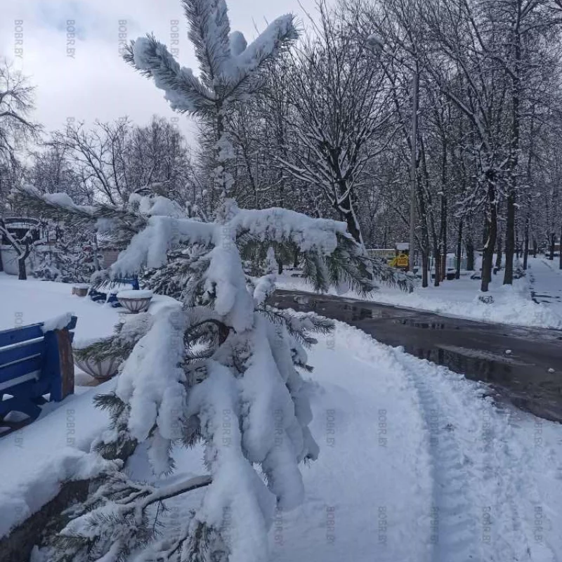 Весна