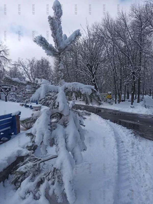 Весна