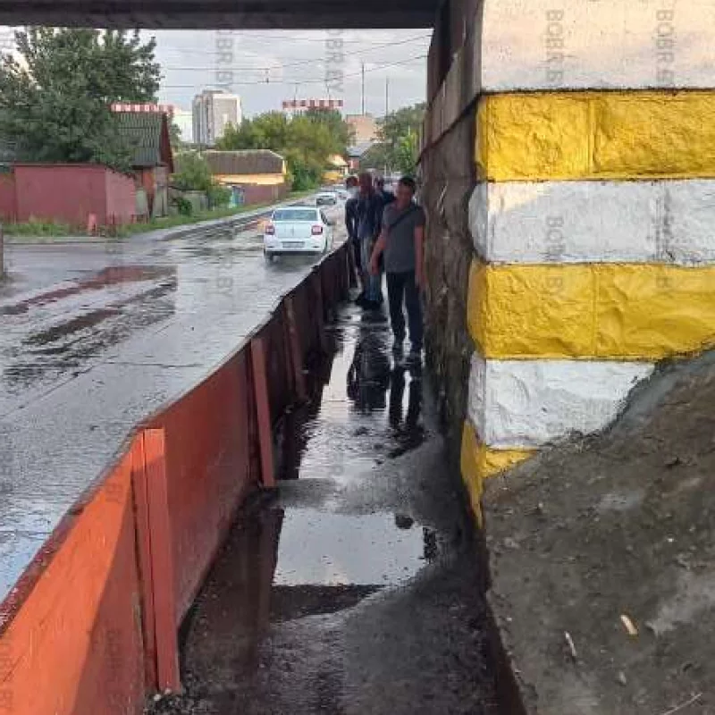 Руки золотые ..