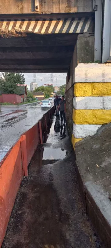 Руки золотые ..