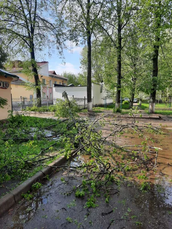 А у нас во дворе...