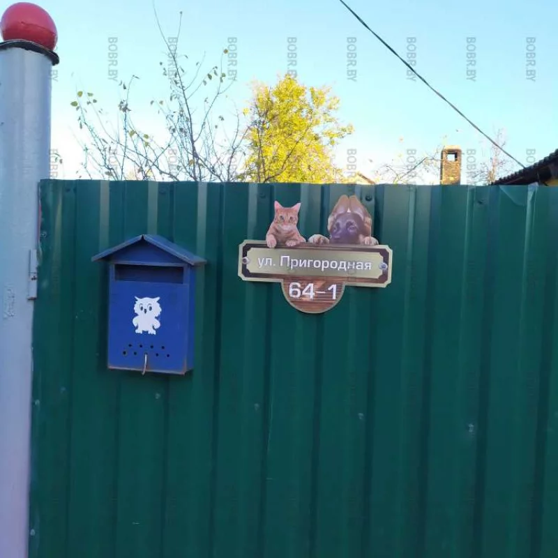 И про котика не забыли