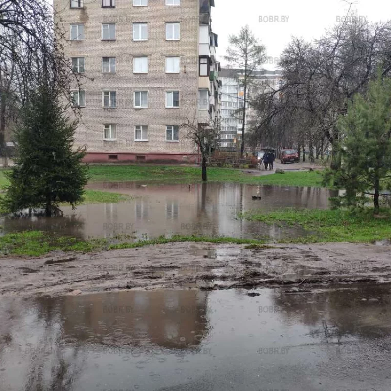 Прекрасные пейзажи 