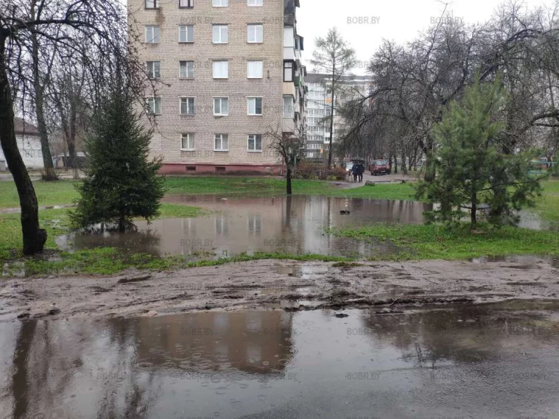 Прекрасные пейзажи 
