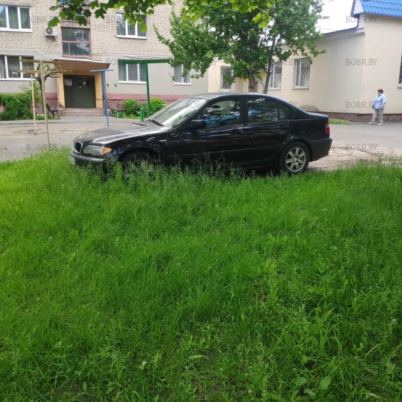 Нет ничего лучше, чем парковка на газоне, среди нескошенной травы. 