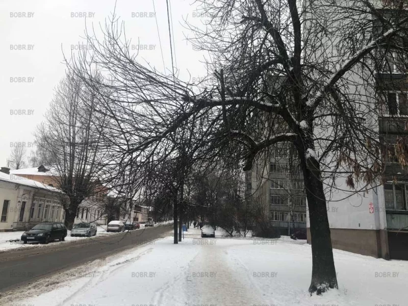Пример уродливой обрезки