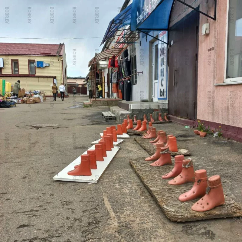 Ноги