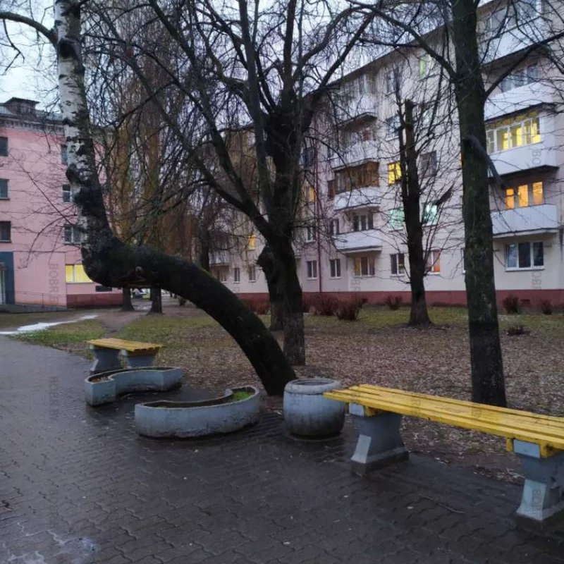 Поставили лавочки
