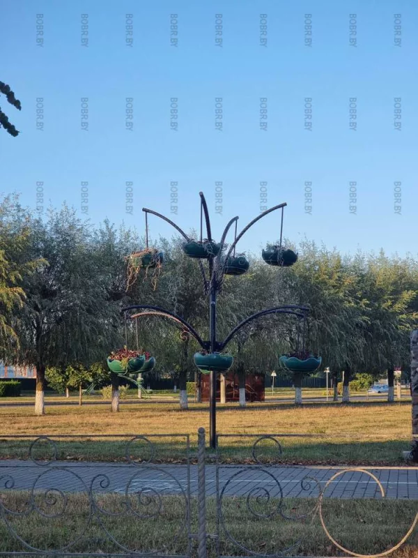Если за цветами не ухаживать они засыхают.