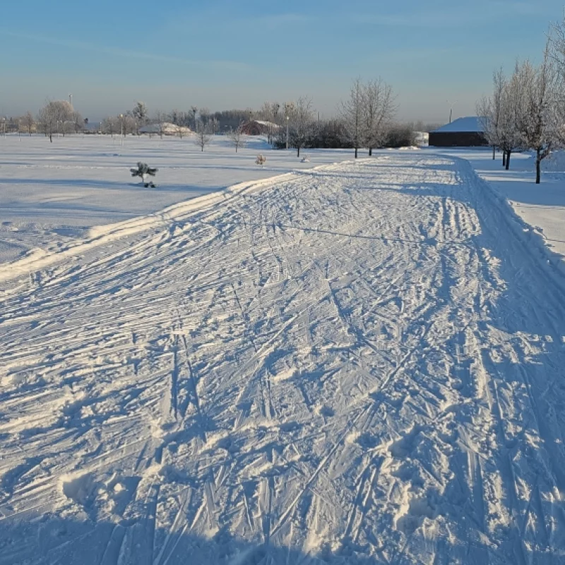 Прекрасная трасса для конькового хода возле Ледового