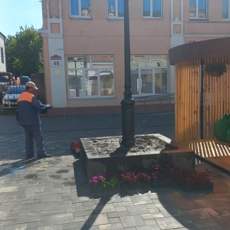 Лакомка посадила в клумбу цветы, зеленхоз пришёл и сказал, что \