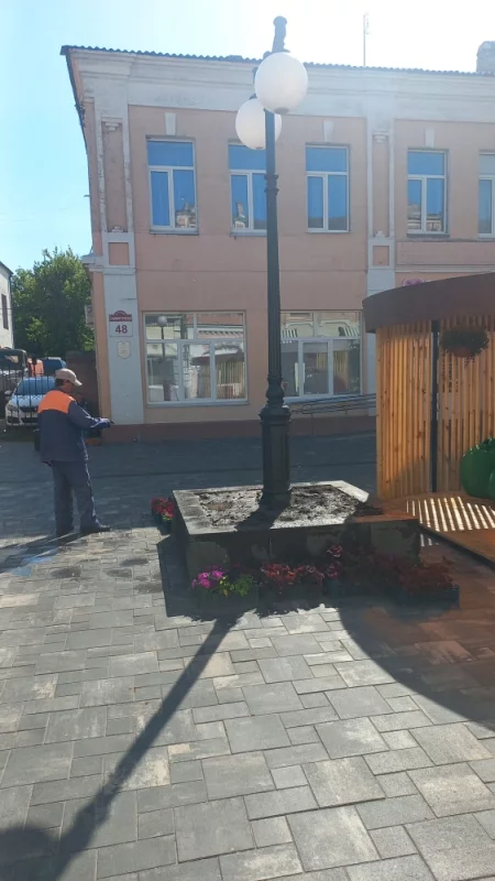 Лакомка посадила в клумбу цветы, зеленхоз пришёл и сказал, что "ваши" нужно вырвать и посадить "наши"