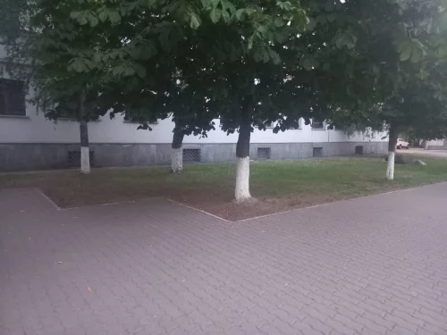 покос