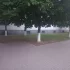 покос