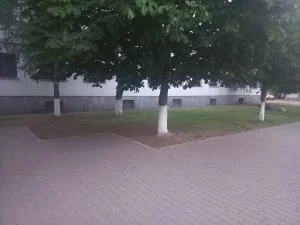 покос