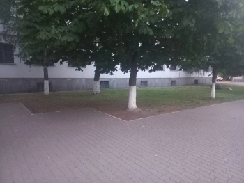 покос
