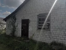 Кирпичный дом В Каменке бобруйский район