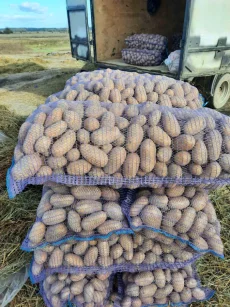 Вкусный деревенский картофель