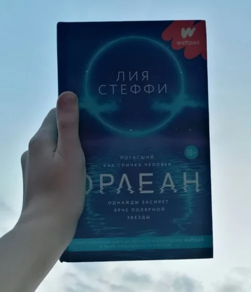 Книга Орлеан. Лия Стеффи