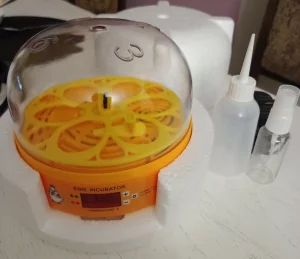 Мини-инкубатор 70 руб