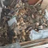 Дрова отдам бесплатно